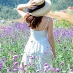 プロフィール プロフィール