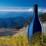 2025年10月の酒類値上げを象徴する、ブドウ畑と青いワインボトルの風景