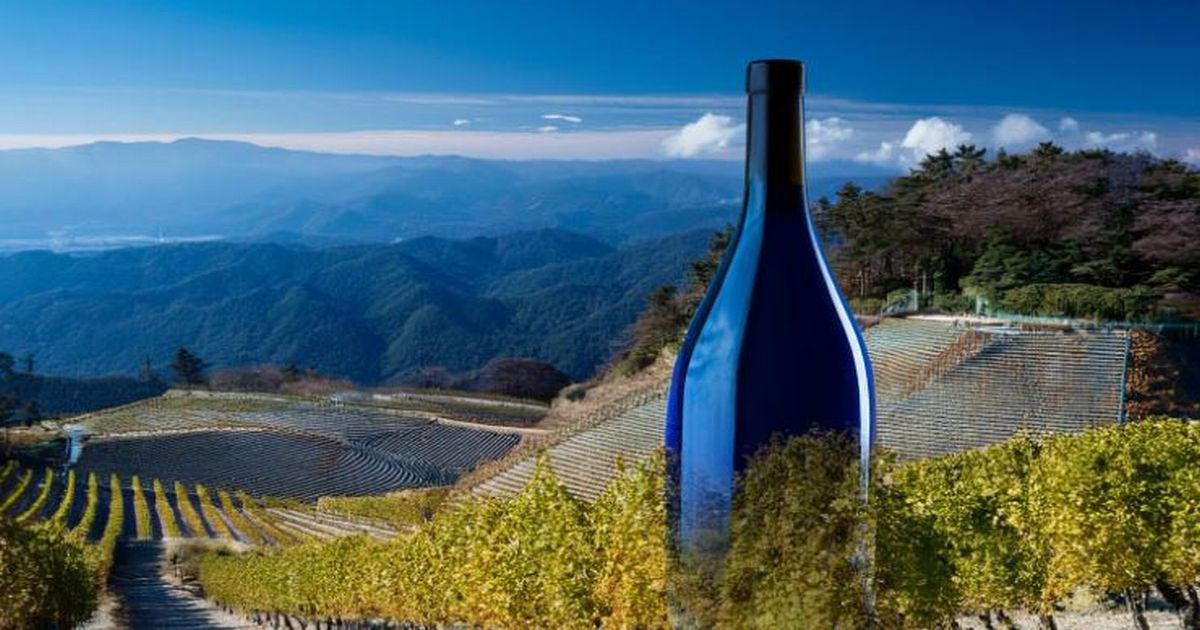 2025年10月の酒類値上げを象徴する、ブドウ畑と青いワインボトルの風景