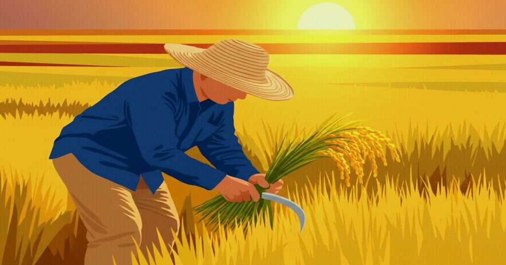 夕日を背に稲穂を手刈りする農家の男性のイラスト。黄金色の田んぼが広がる秋の収穫風景。