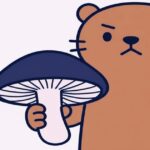 長野県中野市きのこ加工会社が破産申請へ!負債1億3200万円の全貌 カワウソが注意喚起しているイラスト。