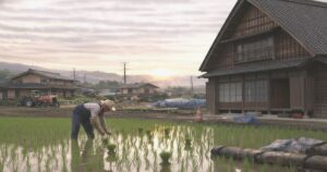 日本の農村で農家が田んぼに稲を植える伝統的な稲作風景