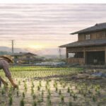 米ぬかで脂っこい食事が自然に減る!痩せ体質の秘密 早朝の田んぼで稲に手を伸ばす農家の後ろ姿と木造の農家住宅